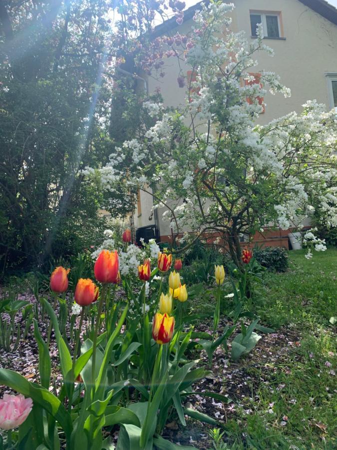 Apartament Blumenblick Rielasingen-Worblingen Εξωτερικό φωτογραφία