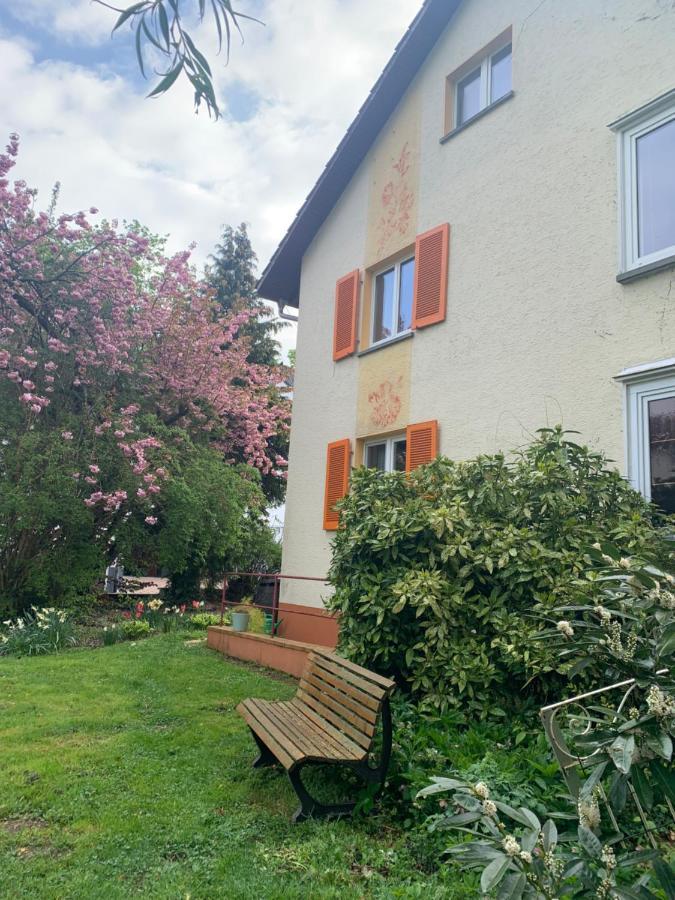Apartament Blumenblick Rielasingen-Worblingen Εξωτερικό φωτογραφία