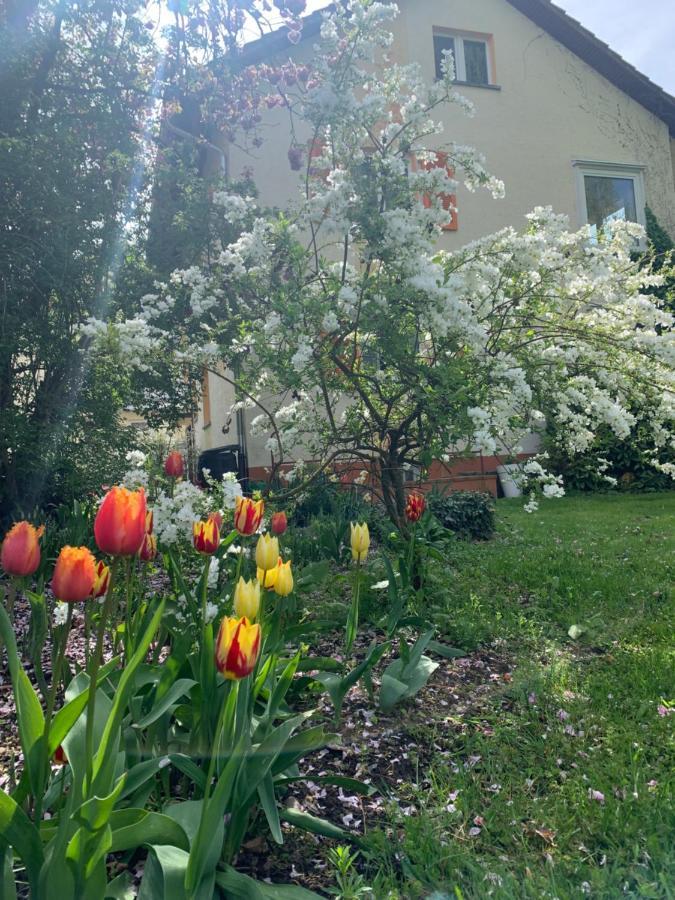Apartament Blumenblick Rielasingen-Worblingen Εξωτερικό φωτογραφία