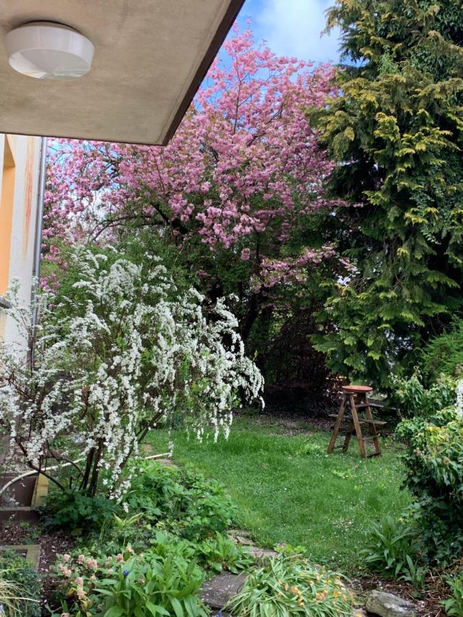 Apartament Blumenblick Rielasingen-Worblingen Εξωτερικό φωτογραφία