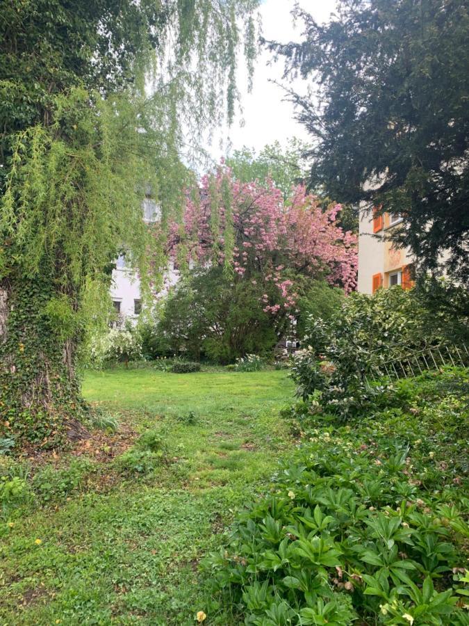 Apartament Blumenblick Rielasingen-Worblingen Εξωτερικό φωτογραφία